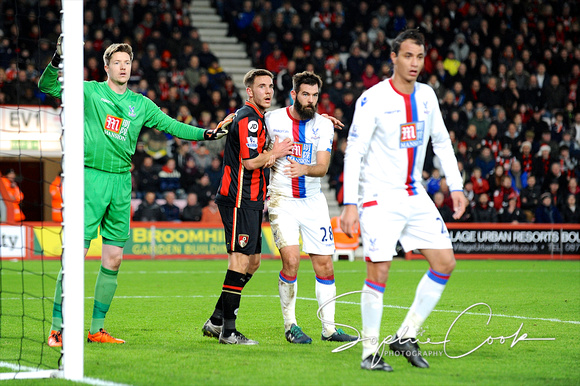 Bournemouth Crystal Palace Barclays Premier League 151226
