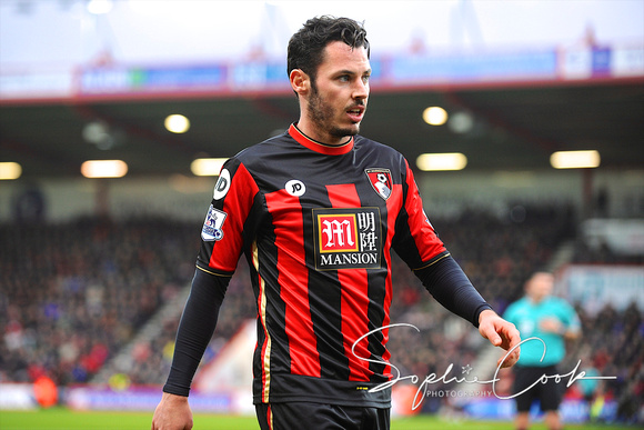 Bournemouth Crystal Palace Barclays Premier League 151226